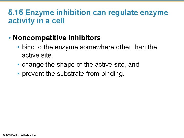 5. 15 Enzyme inhibition can regulate enzyme activity in a cell • Noncompetitive inhibitors