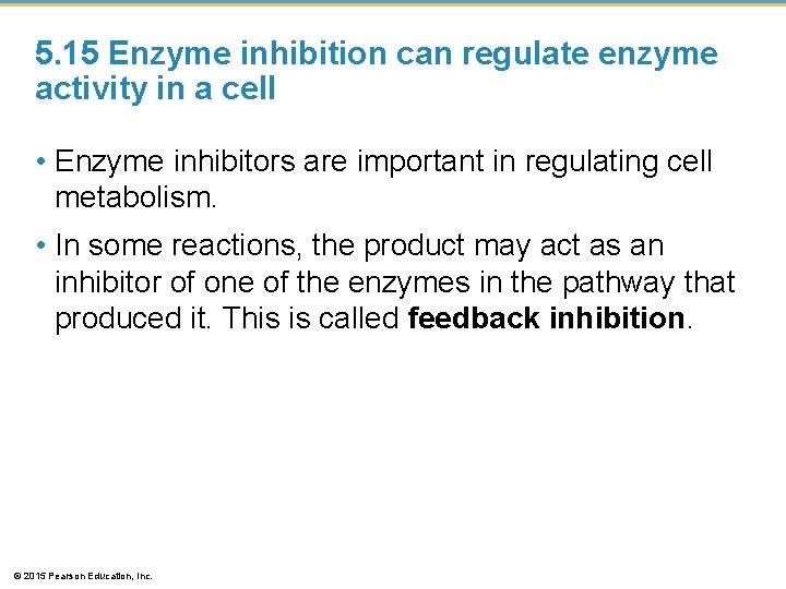 5. 15 Enzyme inhibition can regulate enzyme activity in a cell • Enzyme inhibitors