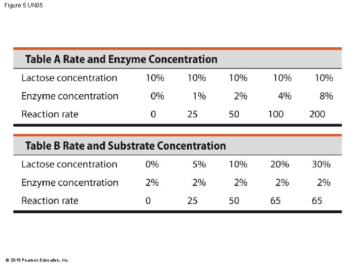 Figure 5. UN 05 © 2015 Pearson Education, Inc. 