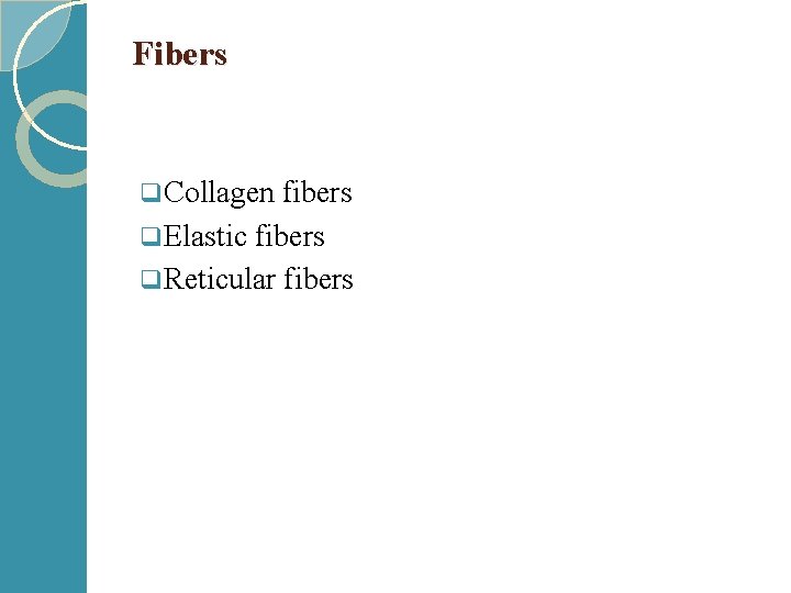 Fibers q Collagen fibers q Elastic fibers q Reticular fibers 