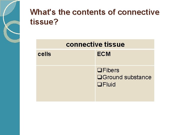 What's the contents of connective tissue? connective tissue cells ECM q. Fibers q. Ground