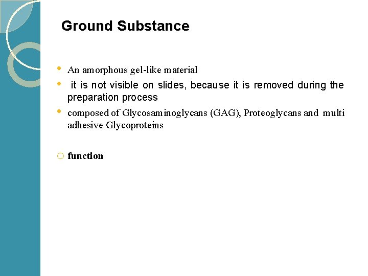 Ground Substance • • • An amorphous gel-like material it is not visible on