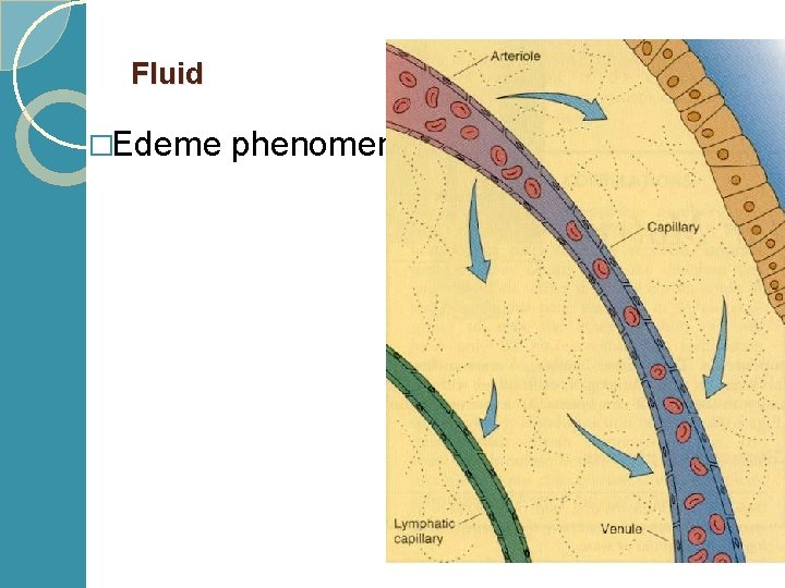 Fluid �Edeme phenomen 