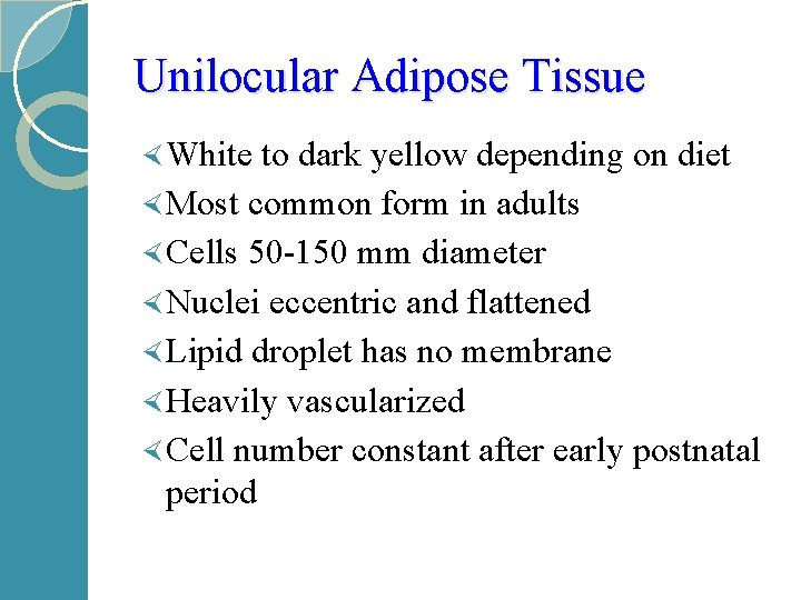Unilocular Adipose Tissue × White to dark yellow depending on diet × Most common