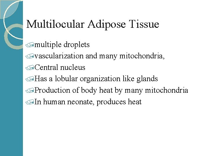 Multilocular Adipose Tissue /multiple droplets /vascularization and many mitochondria, /Central nucleus /Has a lobular