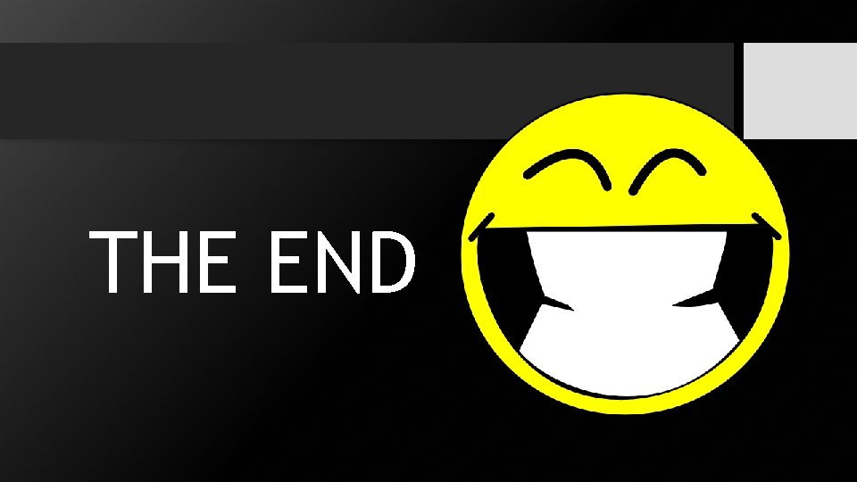 THE END 
