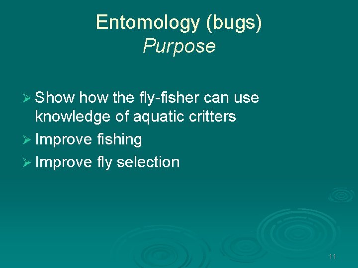 Entomology (bugs) Purpose Ø Show the fly-fisher can use knowledge of aquatic critters Ø