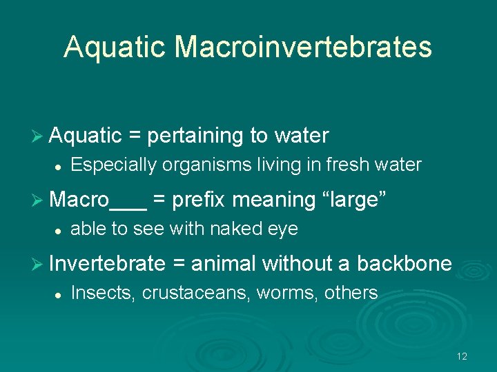 Aquatic Macroinvertebrates Ø Aquatic = pertaining to water l Especially organisms living in fresh