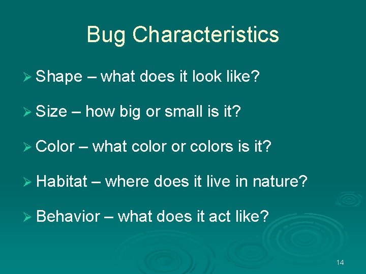 Bug Characteristics Ø Shape – what does it look like? Ø Size – how