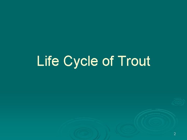 Life Cycle of Trout 2 