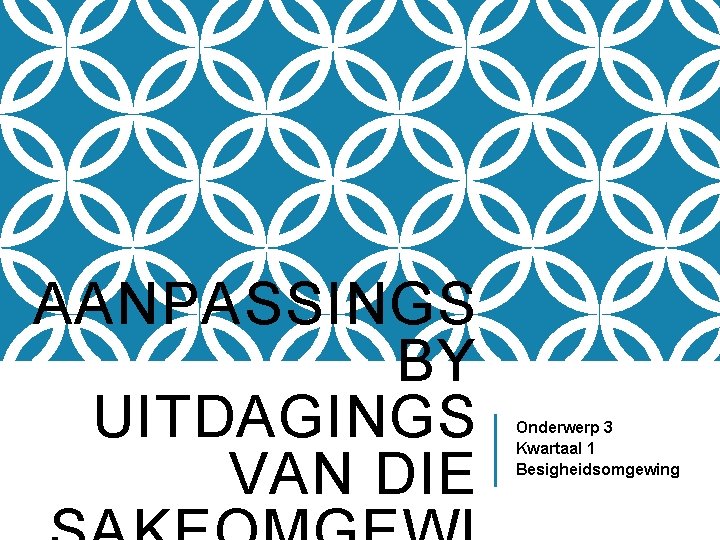 AANPASSINGS BY UITDAGINGS VAN DIE Onderwerp 3 Kwartaal 1 Besigheidsomgewing 