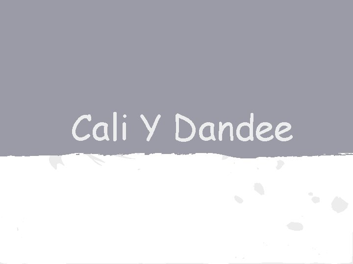 Cali Y Dandee 