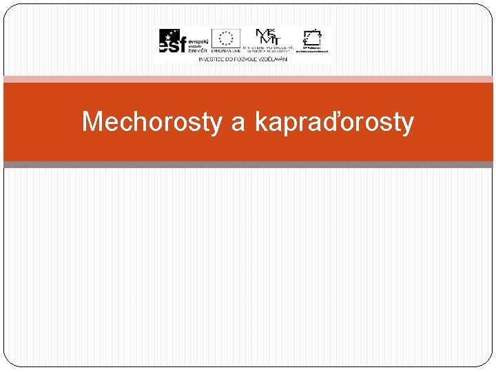 Mechorosty a kapraďorosty 