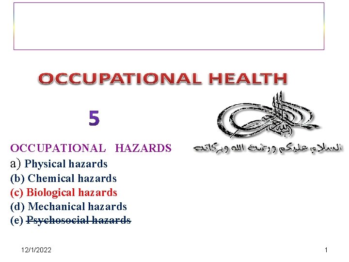 OCCUPATIONAL HAZARDS a) Physical hazards (b) Chemical hazards (c) Biological hazards (d) Mechanical hazards