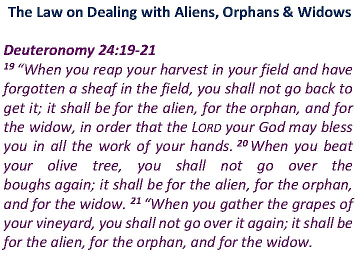 The Law on Dealing with Aliens, Orphans & Widows Deuteronomy 24: 19 -21 19