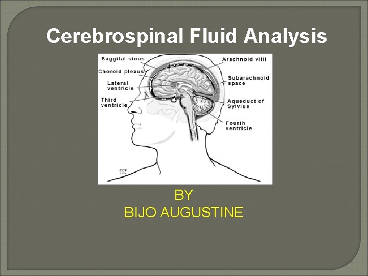 Cerebrospinal Fluid Analysis BY BIJO AUGUSTINE 