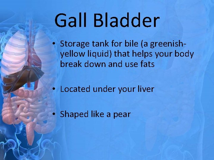 Gall Bladder • Storage tank for bile (a greenishyellow liquid) that helps your body