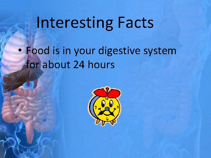 Interesting Facts • Food is in your digestive system for about 24 hours 