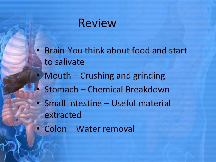 Review • Brain-You think about food and start to salivate • Mouth – Crushing
