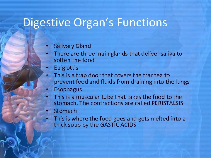 Digestive Organ’s Functions • Salivary Gland • There are three main glands that deliver