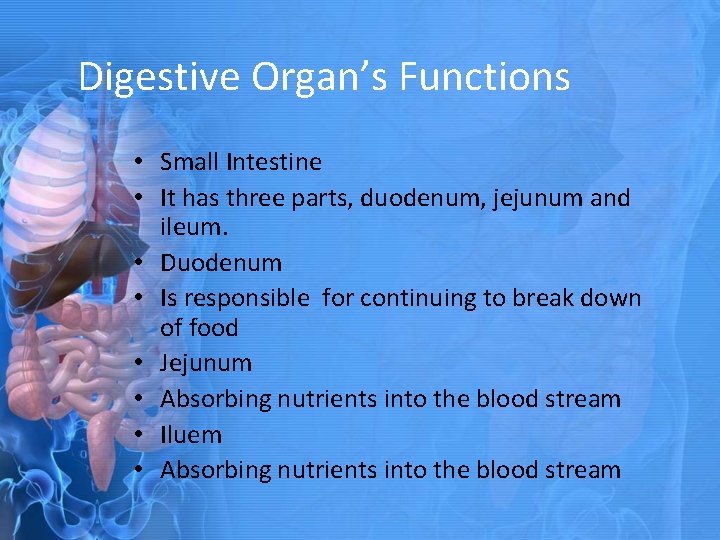 Digestive Organ’s Functions • Small Intestine • It has three parts, duodenum, jejunum and