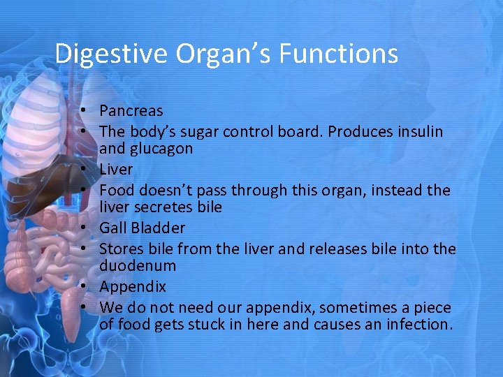 Digestive Organ’s Functions • Pancreas • The body’s sugar control board. Produces insulin and