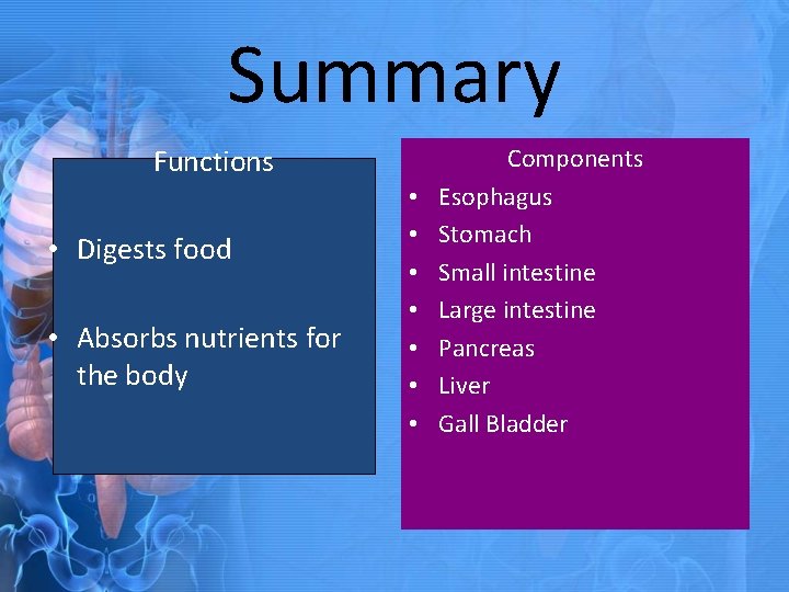 Summary Functions • Digests food • Absorbs nutrients for the body • • Components