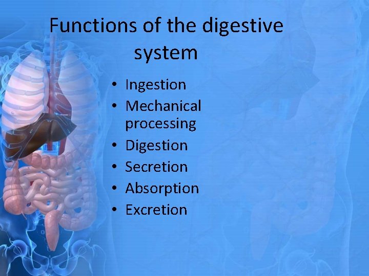 Functions of the digestive system • Ingestion • Mechanical processing • Digestion • Secretion