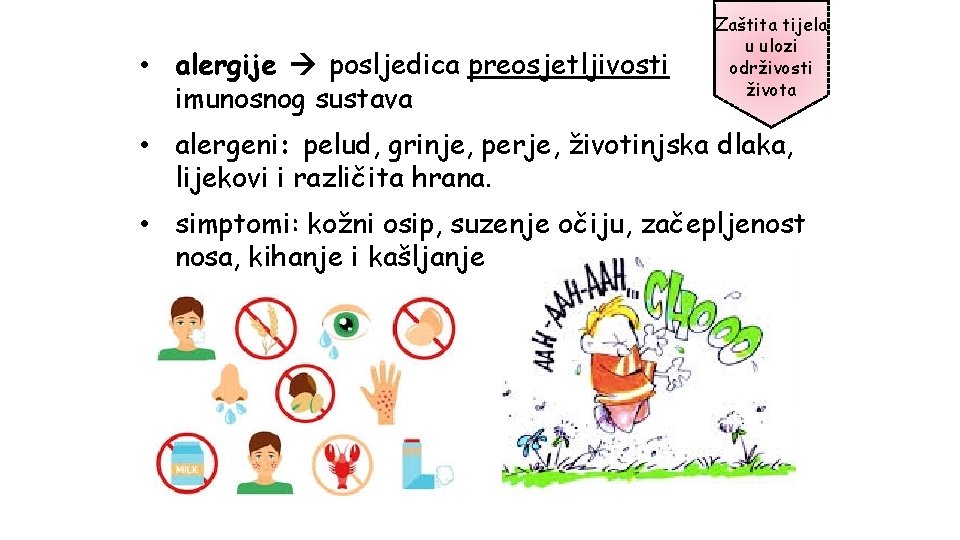  • alergije posljedica preosjetljivosti imunosnog sustava Zaštita tijela u ulozi održivosti života •