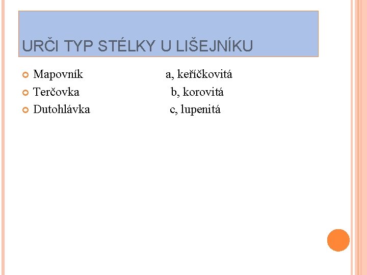 URČI TYP STÉLKY U LIŠEJNÍKU Mapovník Terčovka Dutohlávka a, keříčkovitá b, korovitá c, lupenitá