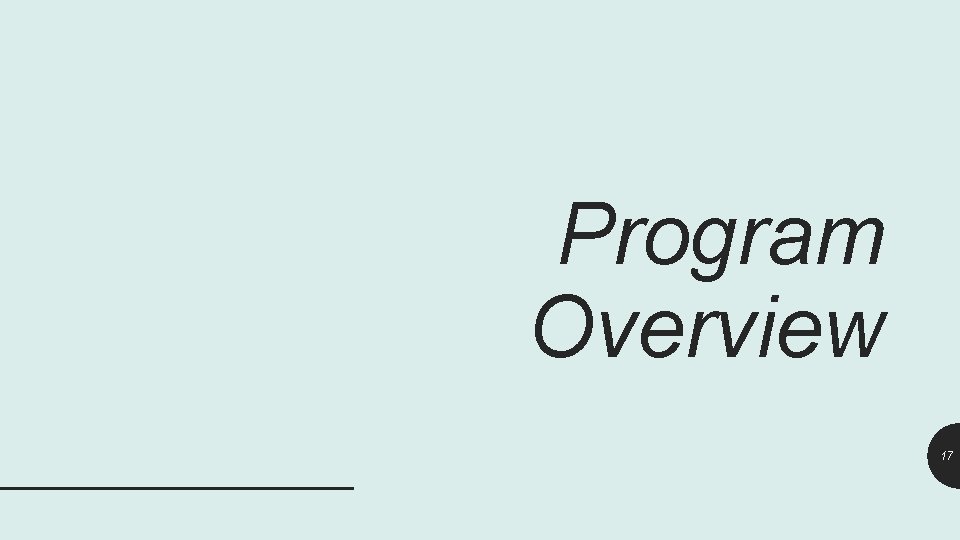 Program Overview 17 