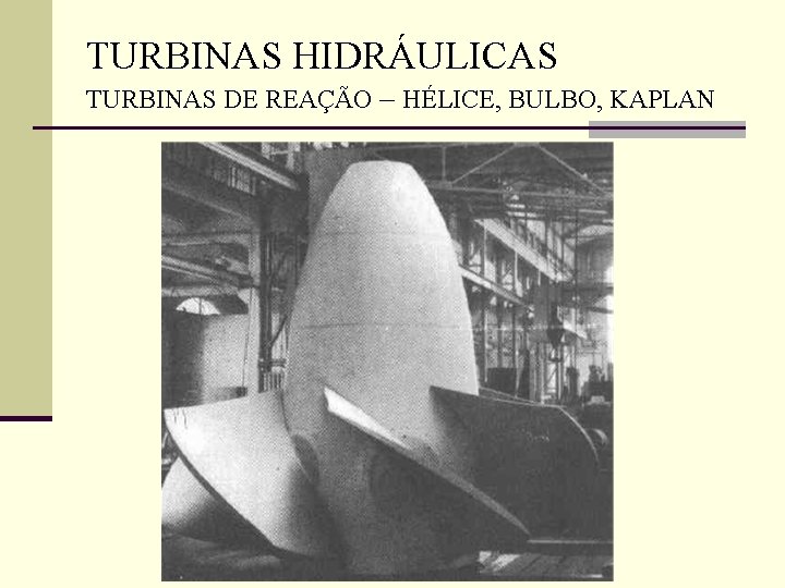 TURBINAS HIDRÁULICAS TURBINAS DE REAÇÃO – HÉLICE, BULBO, KAPLAN 