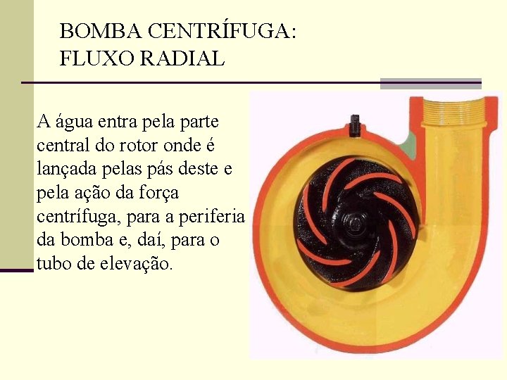 BOMBA CENTRÍFUGA: FLUXO RADIAL A água entra pela parte central do rotor onde é