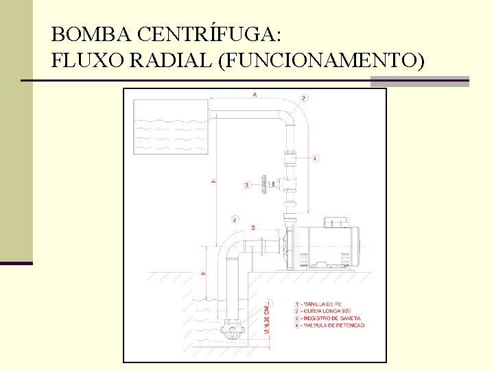 BOMBA CENTRÍFUGA: FLUXO RADIAL (FUNCIONAMENTO) 