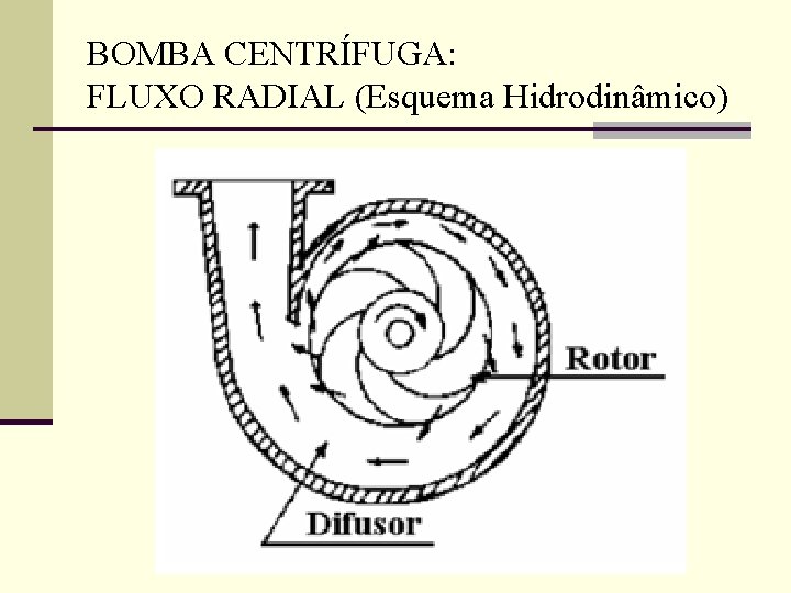 BOMBA CENTRÍFUGA: FLUXO RADIAL (Esquema Hidrodinâmico) 