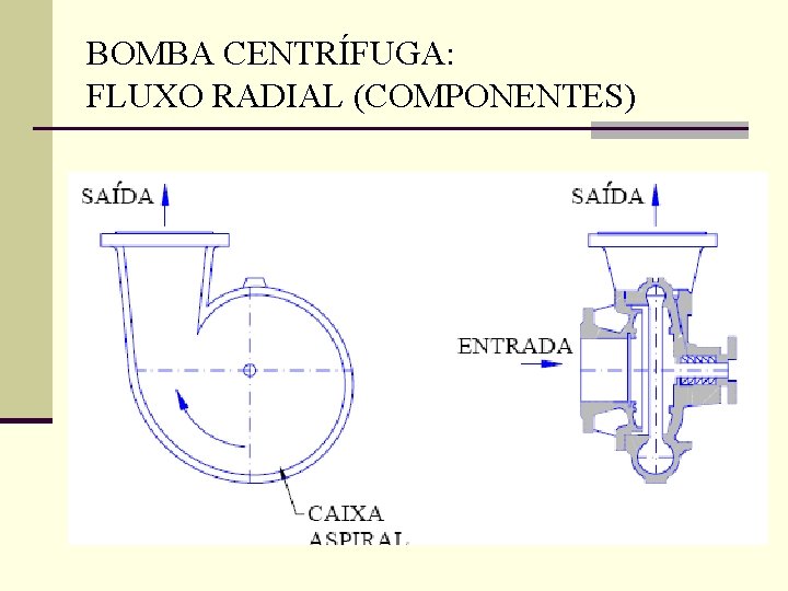 BOMBA CENTRÍFUGA: FLUXO RADIAL (COMPONENTES) 