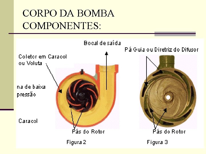CORPO DA BOMBA COMPONENTES: 