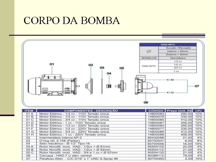 CORPO DA BOMBA 