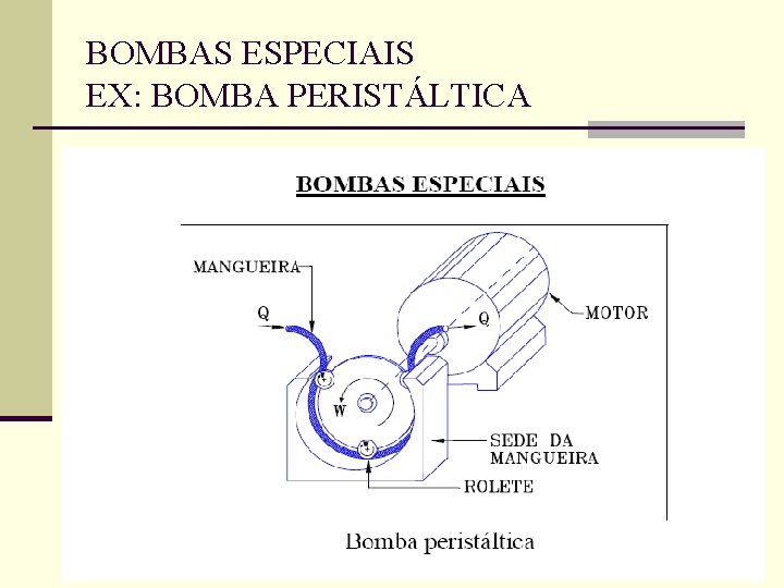 BOMBAS ESPECIAIS EX: BOMBA PERISTÁLTICA 