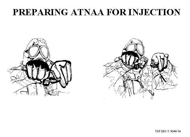 PREPARING ATNAA FOR INJECTION TSP 081 -T-1044 -14 
