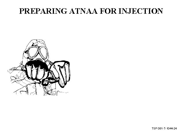 PREPARING ATNAA FOR INJECTION TSP 081 -T-1044 -24 