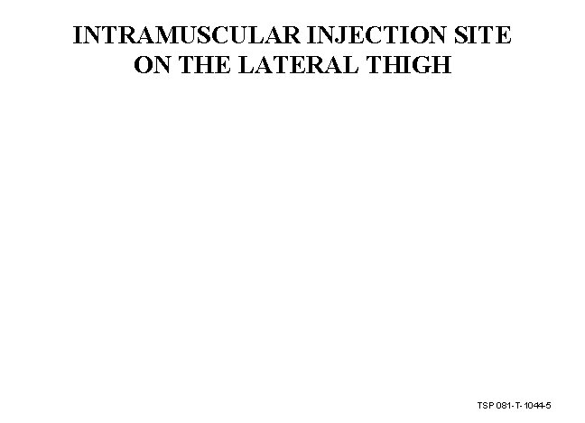INTRAMUSCULAR INJECTION SITE ON THE LATERAL THIGH TSP 081 -T-1044 -5 