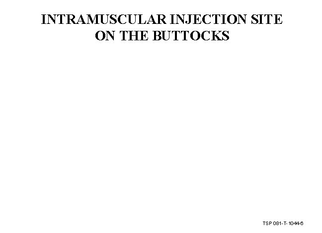 INTRAMUSCULAR INJECTION SITE ON THE BUTTOCKS TSP 081 -T-1044 -6 