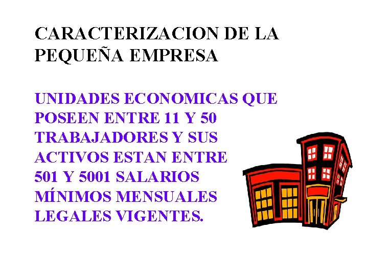 CARACTERIZACION DE LA PEQUEÑA EMPRESA UNIDADES ECONOMICAS QUE POSEEN ENTRE 11 Y 50 TRABAJADORES CARACTERIZACION DE LA PEQUEÑA EMPRESA UNIDADES ECONOMICAS QUE POSEEN ENTRE 11 Y 50 TRABAJADORES