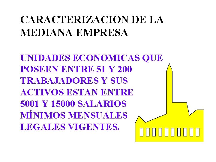 CARACTERIZACION DE LA MEDIANA EMPRESA UNIDADES ECONOMICAS QUE POSEEN ENTRE 51 Y 200 TRABAJADORES CARACTERIZACION DE LA MEDIANA EMPRESA UNIDADES ECONOMICAS QUE POSEEN ENTRE 51 Y 200 TRABAJADORES