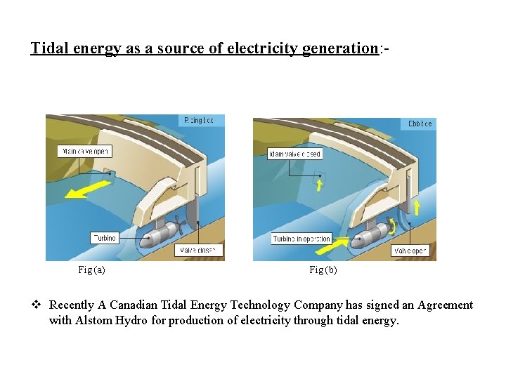 Tidal energy as a source of electricity generation: - Fig (a) Fig (b) v