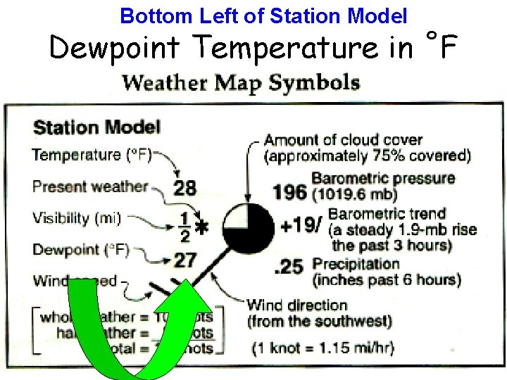 Bottom Left of Station Model Dewpoint Temperature in ˚F 