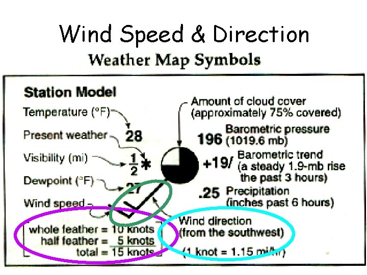 Wind Speed & Direction 