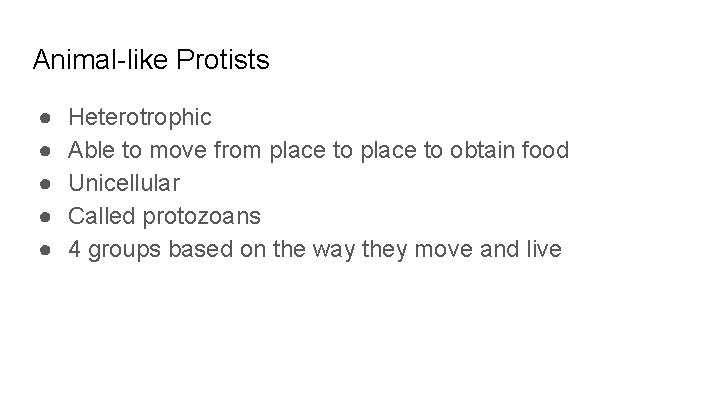 Animal-like Protists ● ● ● Heterotrophic Able to move from place to obtain food