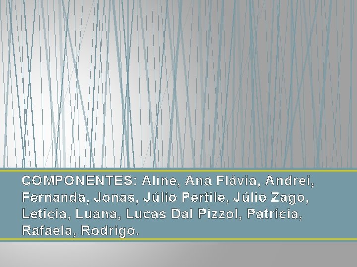 COMPONENTES: Aline, Ana Flávia, Andrei, Fernanda, Jonas, Júlio Pertile, Júlio Zago, Letícia, Luana, Lucas